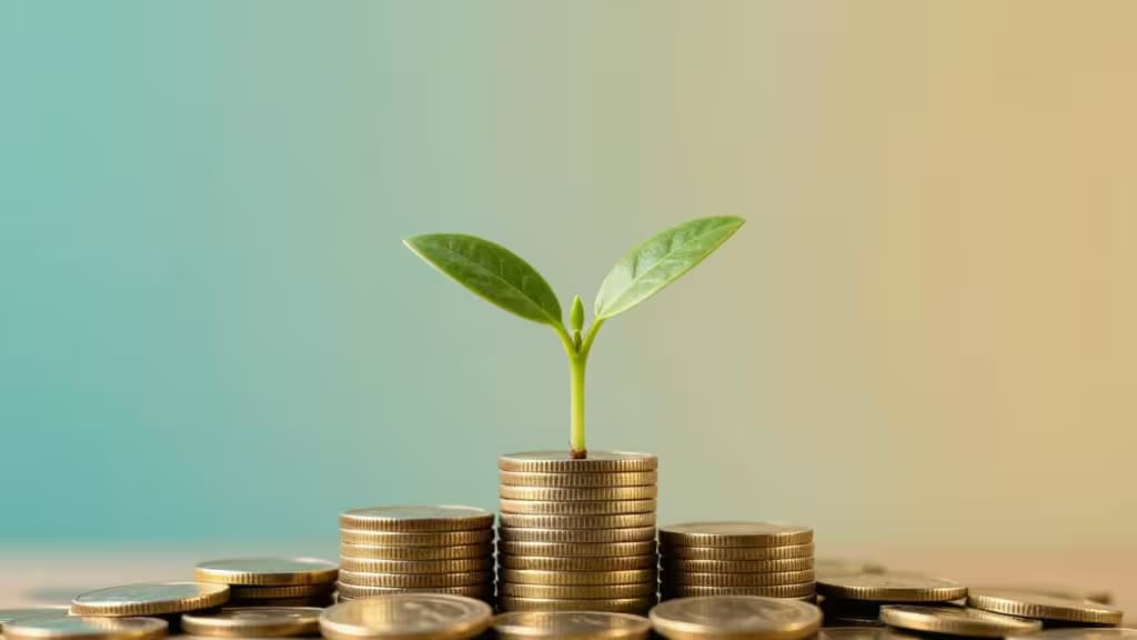 Jeune pousse verte poussant sur une pile de pièces dorées, symbolisant la croissance financière pour les petites entreprises